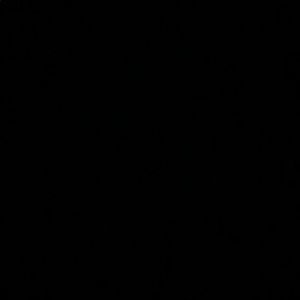 Meet your Posher, Annika